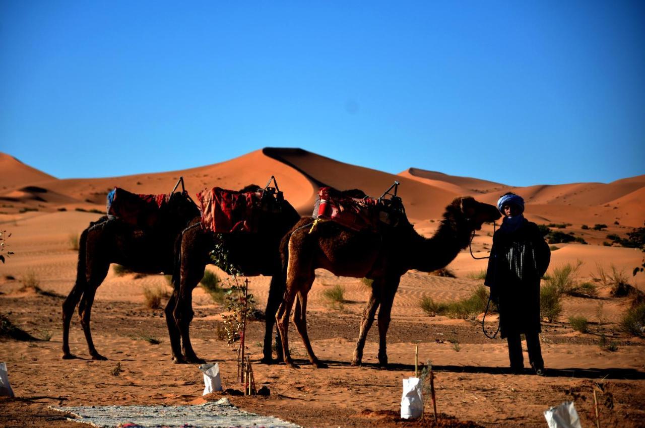 מלון מרזאוגה Tuareg Luxury Camp מראה חיצוני תמונה