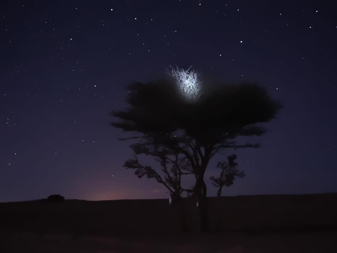 מלון מרזאוגה Tuareg Luxury Camp מראה חיצוני תמונה