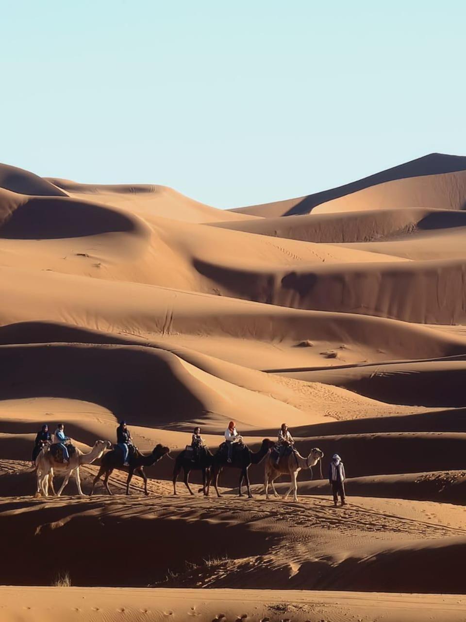 מלון מרזאוגה Tuareg Luxury Camp מראה חיצוני תמונה